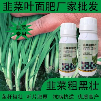 綠葉厚葉韭菜葉綠素韭菜葉面肥怎么使用,韭菜肥廠家批發(fā)