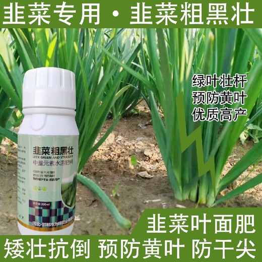 莖稈粗壯韭菜粗黑壯韭菜葉面肥作用,韭菜肥廠家批發(fā)