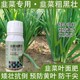 綠葉厚葉韭菜粗又壯韭菜葉面肥怎么樣,韭菜肥廠家批發(fā)產(chǎn)品圖