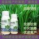 預(yù)防黃葉韭菜粗嫩綠韭菜葉面肥批發(fā),韭菜肥廠家批發(fā)產(chǎn)品圖