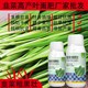 綠葉厚葉韭菜粗又壯韭菜葉面肥多少錢,韭菜肥廠家批發(fā)產(chǎn)品圖