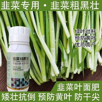 預(yù)防干尖韭菜粗壯韭菜葉面肥廠家,韭菜肥廠家批發(fā)