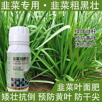 預防黃葉韭菜控旺韭菜葉面肥招商,韭菜肥廠家批發(fā)