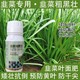 韭菜葉面肥使用方法圖