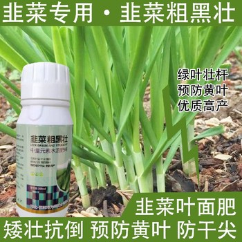 預(yù)防黃葉韭菜肥韭菜葉面肥使用方法,韭菜肥廠家批發(fā)