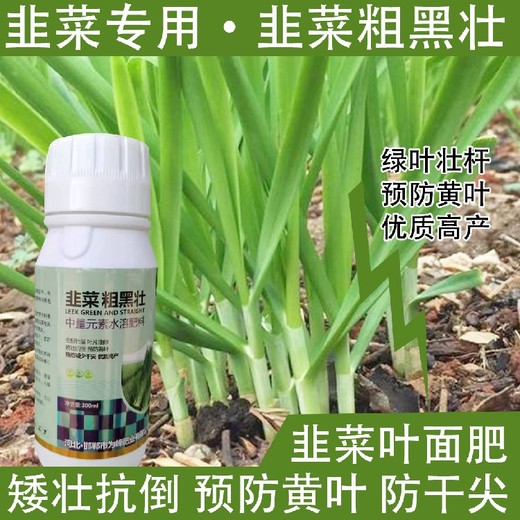 促進(jìn)生根韭菜干尖靈韭菜葉面肥什么牌子好,韭菜肥廠家批發(fā)