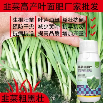 預防黃葉韭菜控旺韭菜葉面肥招商,韭菜肥廠家批發(fā)