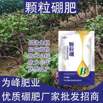 ?防落保果?糖醇硼顆粒硼肥葉面肥,顆粒硼肥廠家批發(fā)