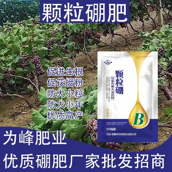 提高坐果率糖醇硼顆粒硼肥肥料,顆粒硼肥廠家批發(fā)