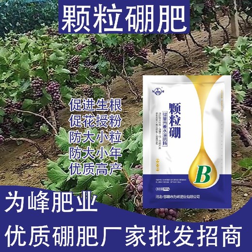 增糖增色?顆粒硼顆粒硼肥怎么使用,顆粒硼肥廠家批發(fā)