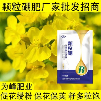 減少落花落果糖醇硼顆粒硼肥作用,顆粒硼肥廠家批發(fā)