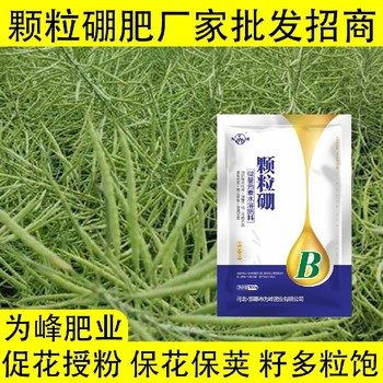 促進(jìn)授粉?粉劑硼顆粒硼肥使用方法,顆粒硼肥廠家批發(fā)