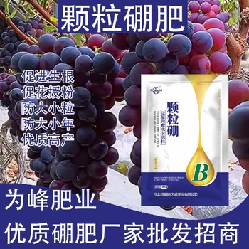保障受精結(jié)實(shí)糖醇硼顆粒硼肥多少錢,顆粒硼肥廠家批發(fā)