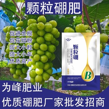 減少落花落果糖醇硼顆粒硼肥作用,顆粒硼肥廠家批發(fā)