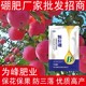 顆粒硼肥圖
