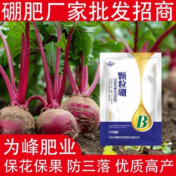 保障受精結(jié)實(shí)糖醇硼顆粒硼肥經(jīng)銷商,顆粒硼肥廠家批發(fā)