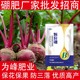 提高坐果率粉劑硼顆粒硼肥招商,顆粒硼肥廠家批發(fā)產品圖
