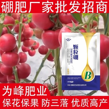增強(qiáng)根系發(fā)育粉劑硼顆粒硼肥廠家,顆粒硼肥廠家批發(fā)
