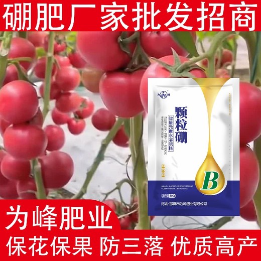 保障受精結實流體硼顆粒硼肥葉面肥,顆粒硼肥廠家批發(fā)