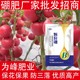 顆粒硼肥批發(fā)圖