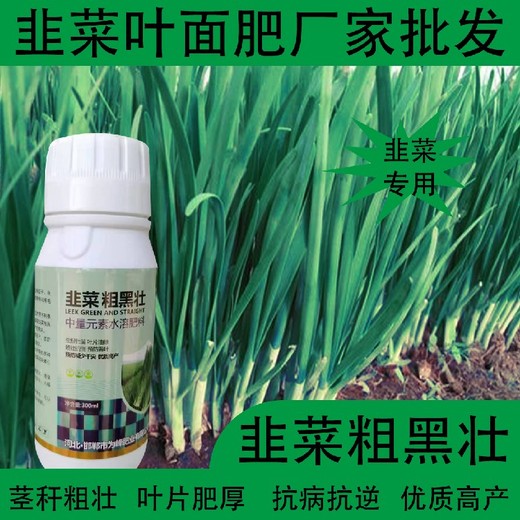 生根壯苗韭菜粗又壯韭菜葉面肥哪里賣,韭菜肥廠家批發(fā)