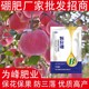 提升果實(shí)糖分液體硼顆粒硼肥用法用量,顆粒硼肥廠家批發(fā)產(chǎn)品圖