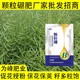 顆粒硼肥生產(chǎn)廠家圖