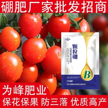 提高坐果率糖醇硼顆粒硼肥招商,顆粒硼肥廠家批發(fā)