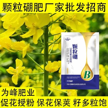 促進授粉?螯合硼肥顆粒硼肥招商,顆粒硼肥廠家批發(fā)