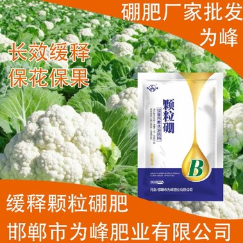 ?防落保果?糖醇硼顆粒硼肥葉面肥,顆粒硼肥廠家批發(fā)