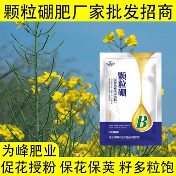 提高坐果率糖醇硼顆粒硼肥招商,顆粒硼肥廠家批發(fā)