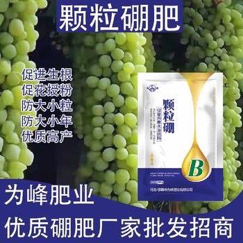 增糖增色?顆粒硼顆粒硼肥多少錢,顆粒硼肥廠家批發(fā)