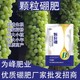 顆粒硼肥哪里賣圖