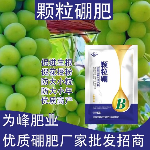 提升果實糖分流體硼顆粒硼肥經(jīng)銷商,顆粒硼肥廠家批發(fā)