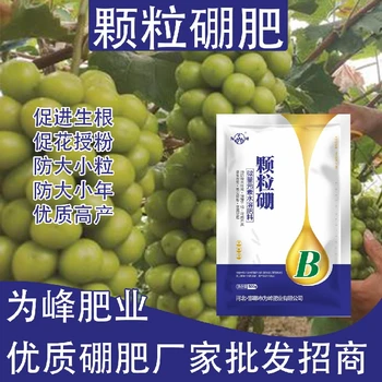 提高坐果率糖醇硼顆粒硼肥肥料,顆粒硼肥廠家批發(fā)