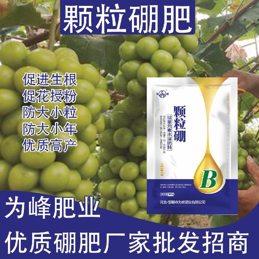 提高坐果率粉劑硼顆粒硼肥生產(chǎn)廠家,顆粒硼肥廠家批發(fā)