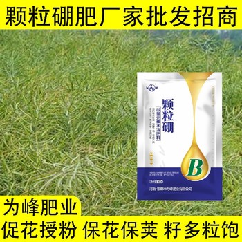 減少落花落果糖醇硼顆粒硼肥作用,顆粒硼肥廠家批發(fā)