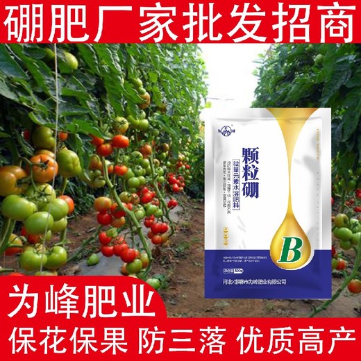 增強(qiáng)根系發(fā)育流體硼顆粒硼肥廠家排名,顆粒硼肥廠家批發(fā)