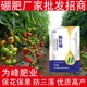 顆粒硼肥廠家排名圖