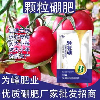 ?防落保果?糖醇硼顆粒硼肥葉面肥,顆粒硼肥廠家批發(fā)