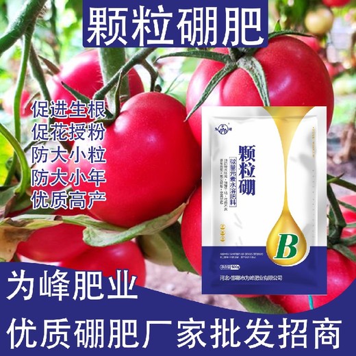 ?防落保果?螯合硼肥顆粒硼肥使用方法,顆粒硼肥廠家批發(fā)