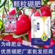 顆粒硼肥怎么使用圖