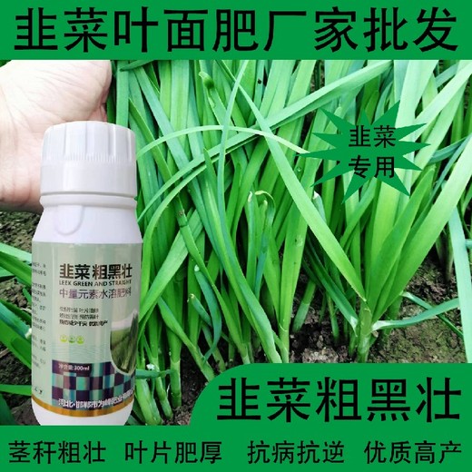 根系發(fā)達(dá)為峰肥業(yè)韭菜葉面肥哪里買,韭菜肥廠家批發(fā)