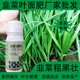 韭菜葉面肥什么牌子好圖