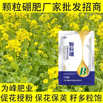 保障受精結(jié)實(shí)糖醇硼顆粒硼肥經(jīng)銷商,顆粒硼肥廠家批發(fā)