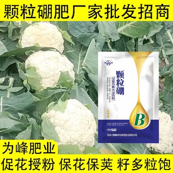 保障受精結(jié)實螯合硼肥顆粒硼肥葉面肥,顆粒硼肥廠家批發(fā)