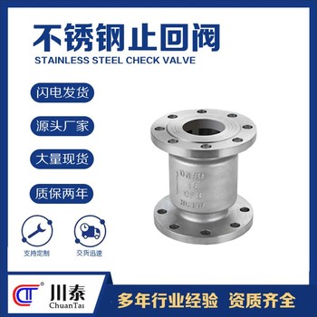 資陽生產(chǎn)止回閥型號(hào)軟密封防倒流止水閥