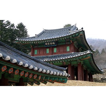 石家莊到五臺山的車,石家莊旅行社去五臺山旅游團(tuán)多少錢