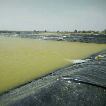 海南1.0mmHDPE土工膜防滲膜防滲和隔離