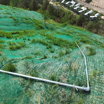 蘭州三維植被網廠家,350gEM3EM4三維網墊穩(wěn)固植物根系